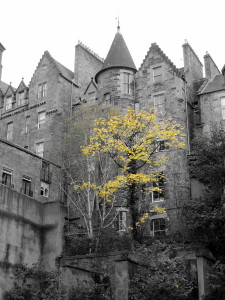 Some apartments in Edinburgh