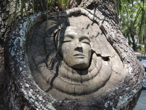 One of The Tree Spirits of St. Simon's Island, GA. A few of the trees on the island have faces carved into them. They are called the Tree Spirits of St Simon's. 