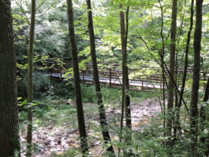 Walkway over the stream along Old Tennessee 63