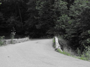 Narrow wee bridge on Old Tennessee 63. Thankfully living in UK taught me to drive scary narrow roads on twisty bends. 