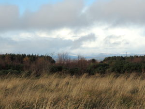 Drumossie Moor, later known as Culloden